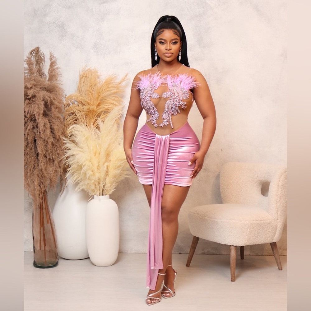 Pink Velvet Mini Dress with Flesh Tone Mesh, Feathers and Embroidery